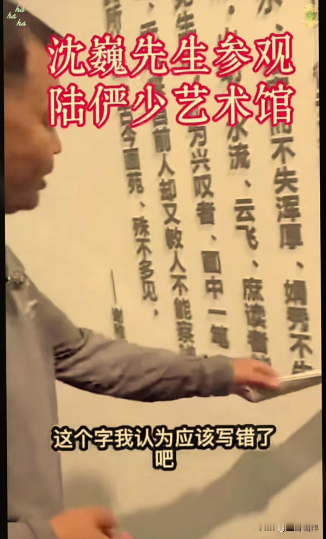 沈巍近日参观陆俨少博物馆的时候，指出了一个词“履薄临探”有个错别字，应该是“履薄