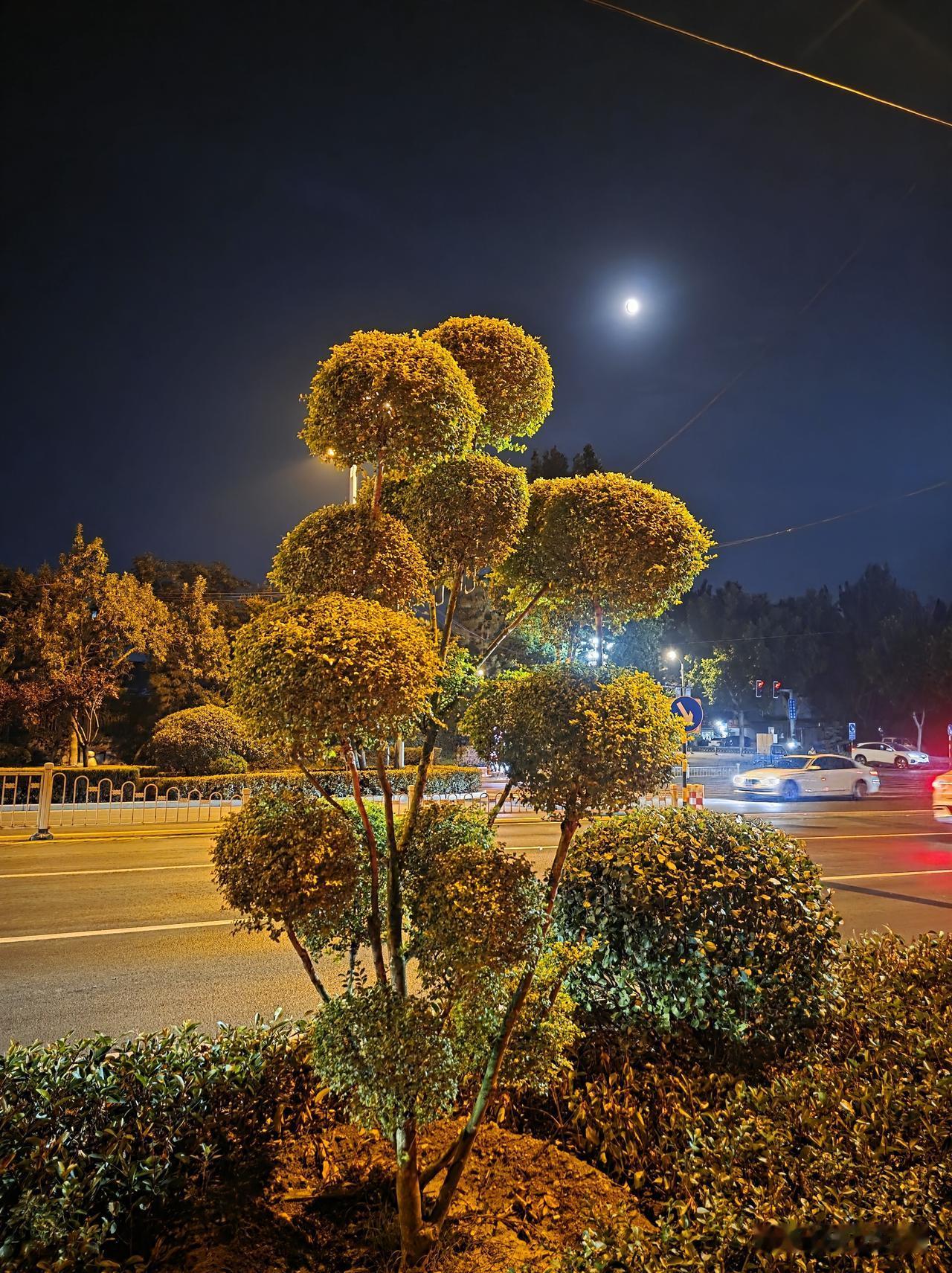 震惊：这是怎么了，他明明是很健康一个人……

今天下午，接到3年未见面的老朋友电