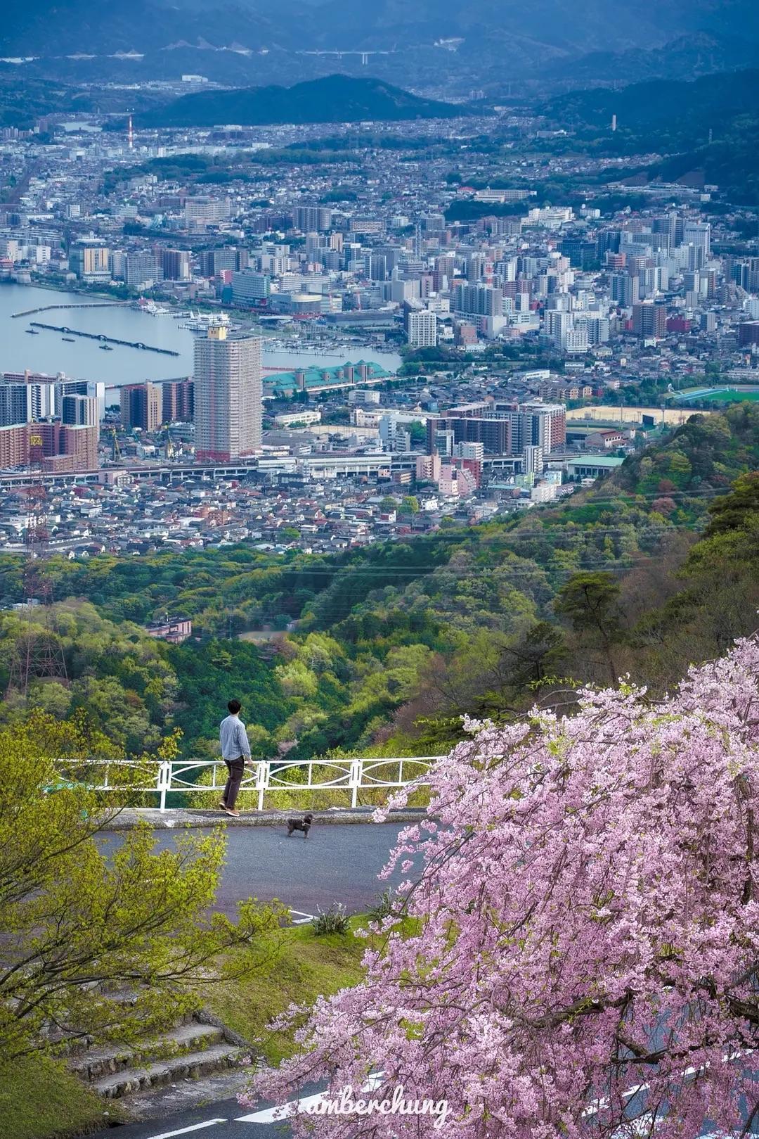 心理真相扎心了：

✅焦虑，是你总想掌控一切
✅抑郁，是你非要事事成功
✅社恐，