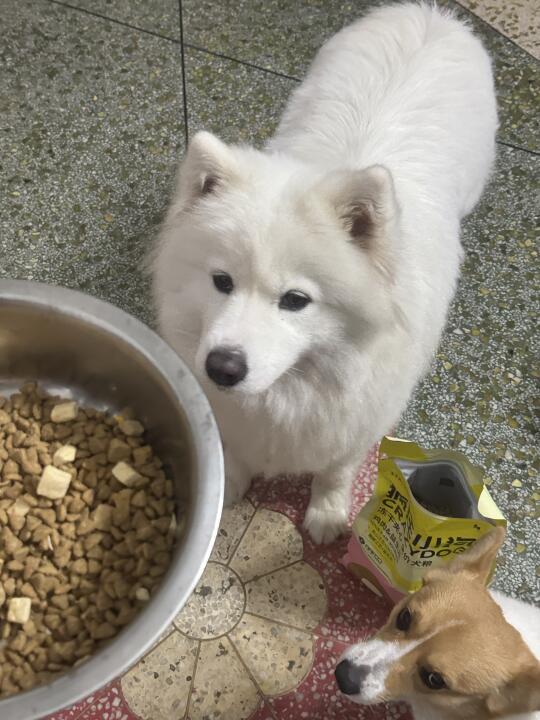 太美味噜，满眼期待