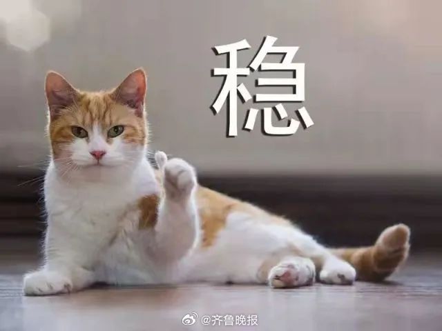 要努力，但是不要着急，繁花锦簇硕果累累都需要过程。#晚安#