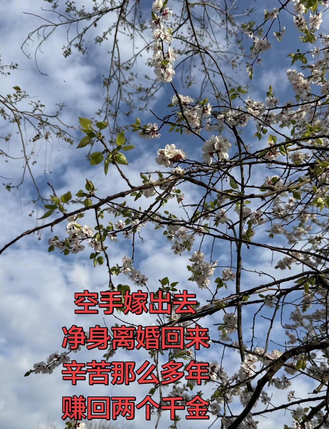 像我这样狠人没几个吧，没想到，我也没想到