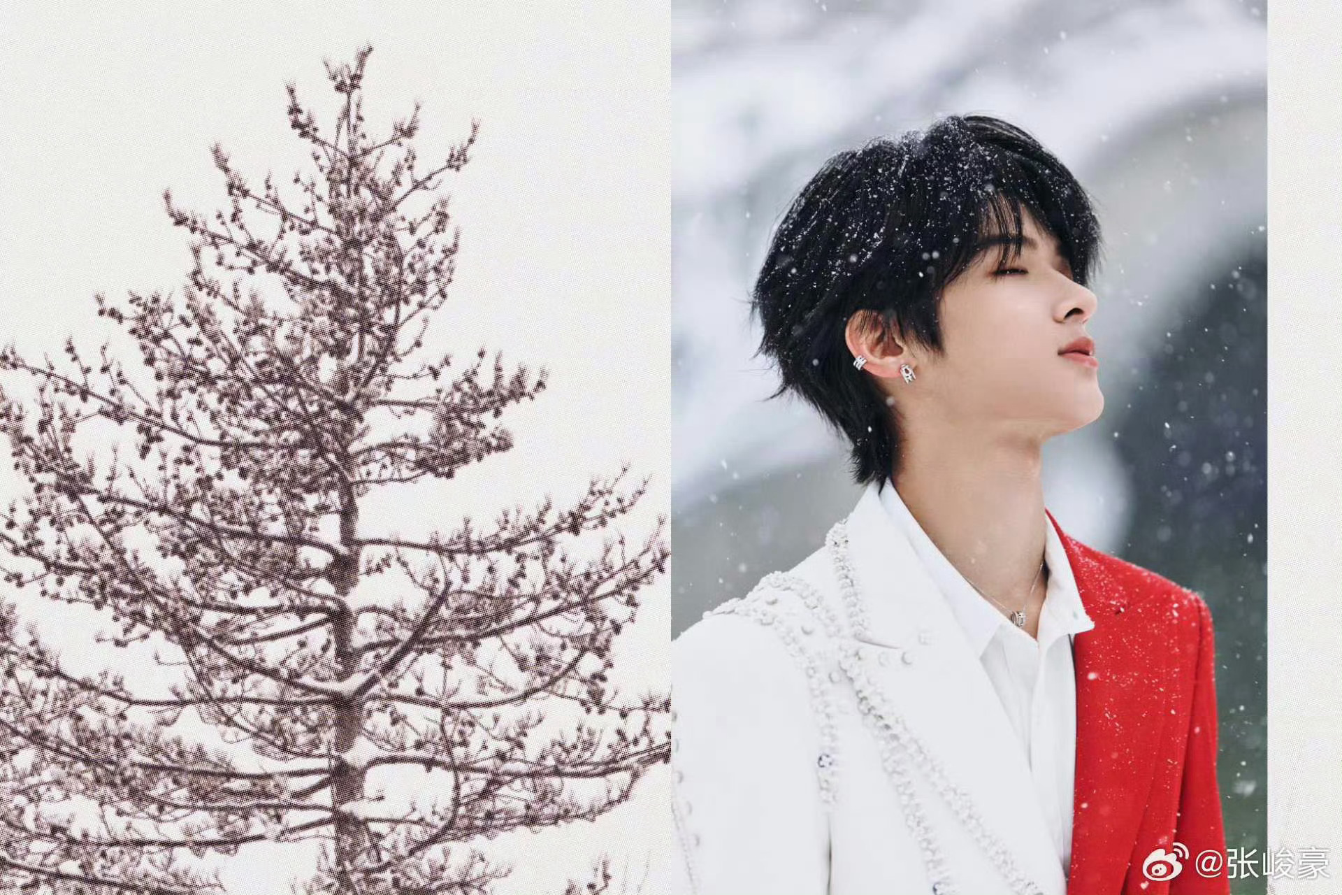 张峻豪✖️湖南卫视元宵喜乐会舞台造型大片❤️🤍❄️ 