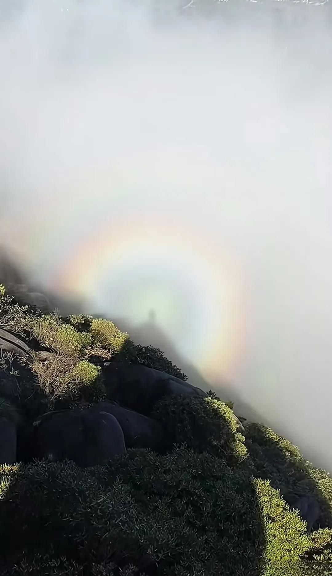 露三分茫然无措，以瞒天地人泯然于世，
藏七分众醉独醒，以致人智自看破红尘。