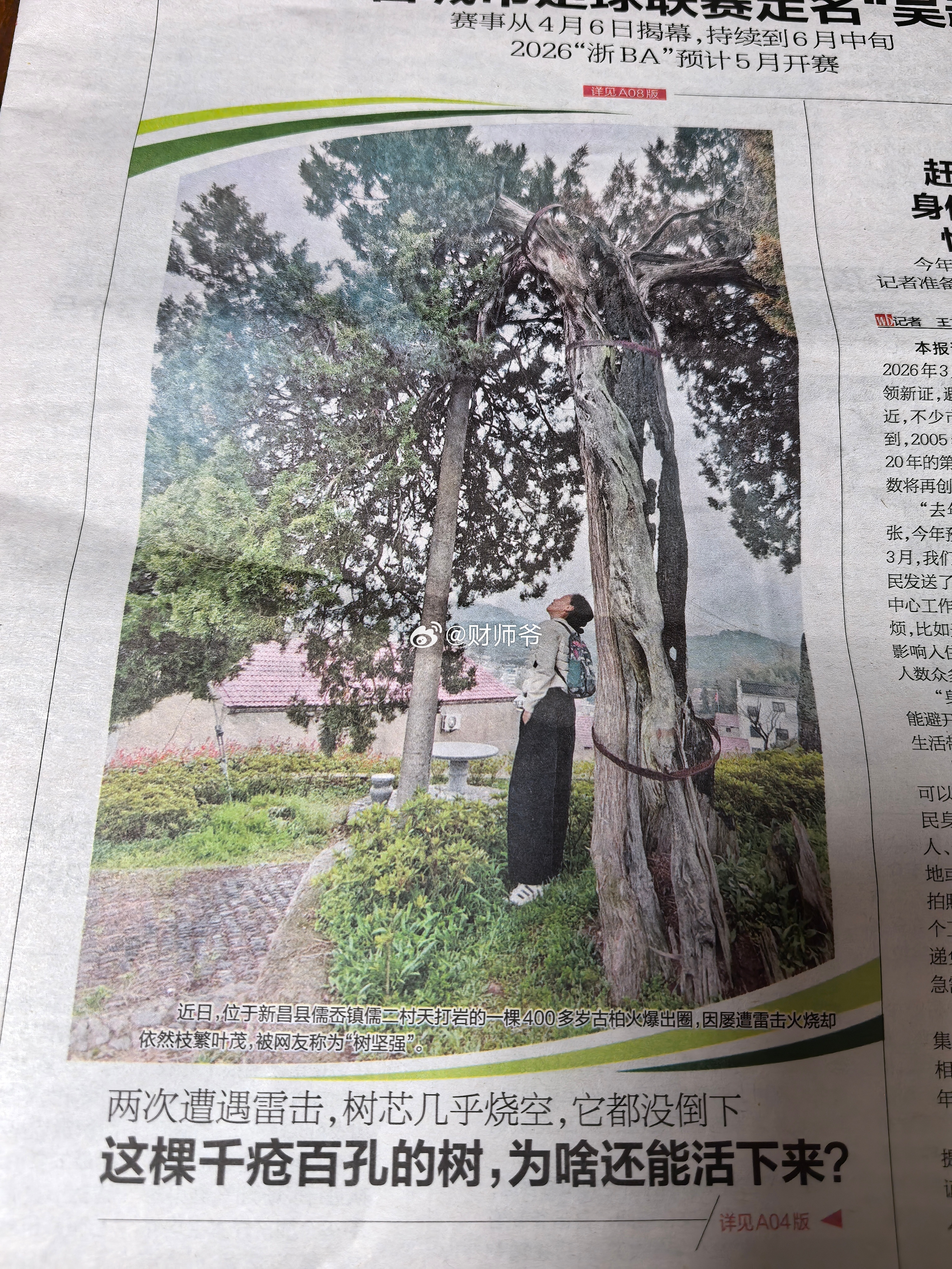 昨天《绍兴晚报》在头版报道了一篇有关“雷击木”的文章。看了报道不要动歪心思，村民