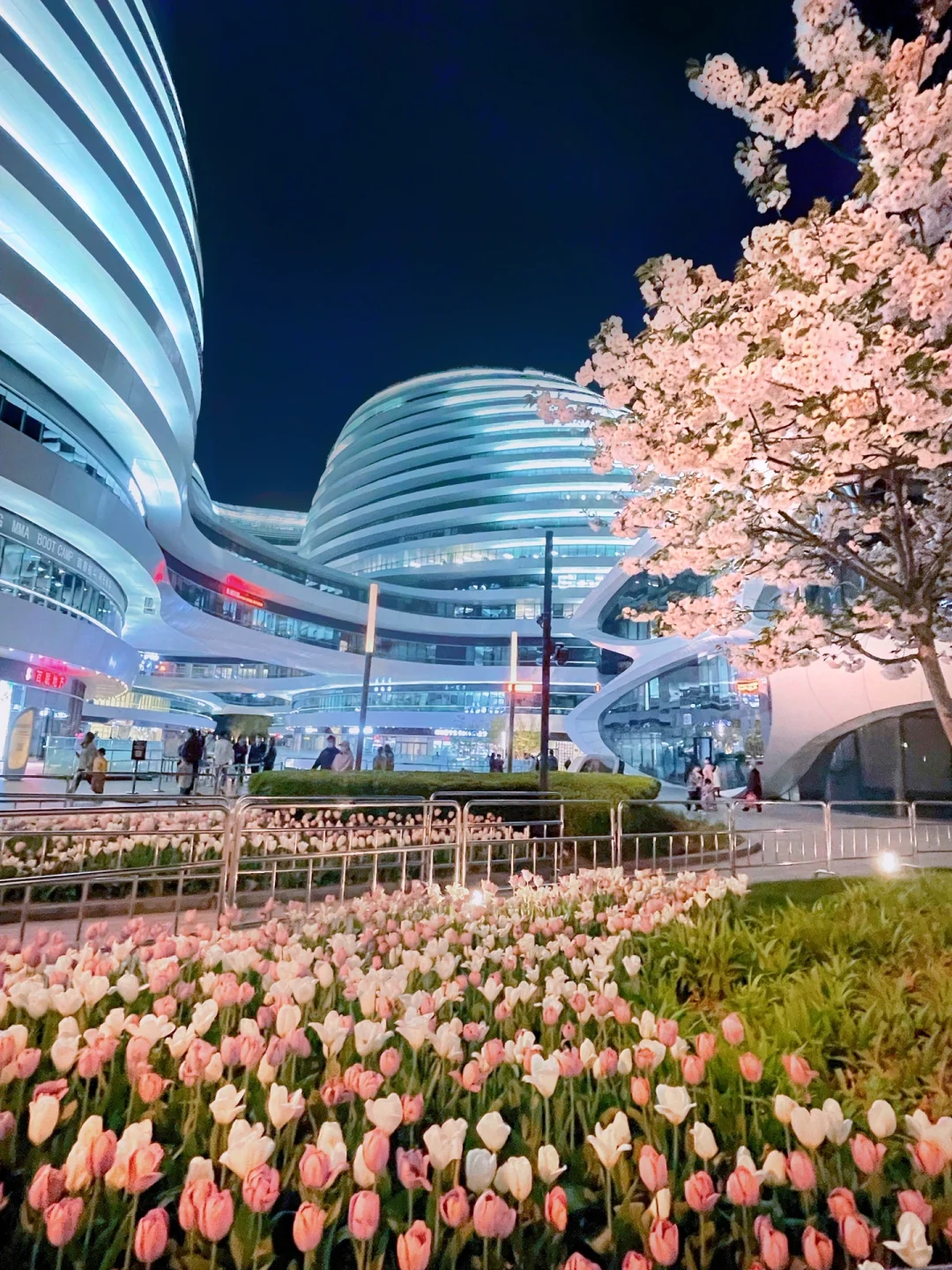 接下来这🔟地方❗️堪称北京春日浪漫天花板🌸