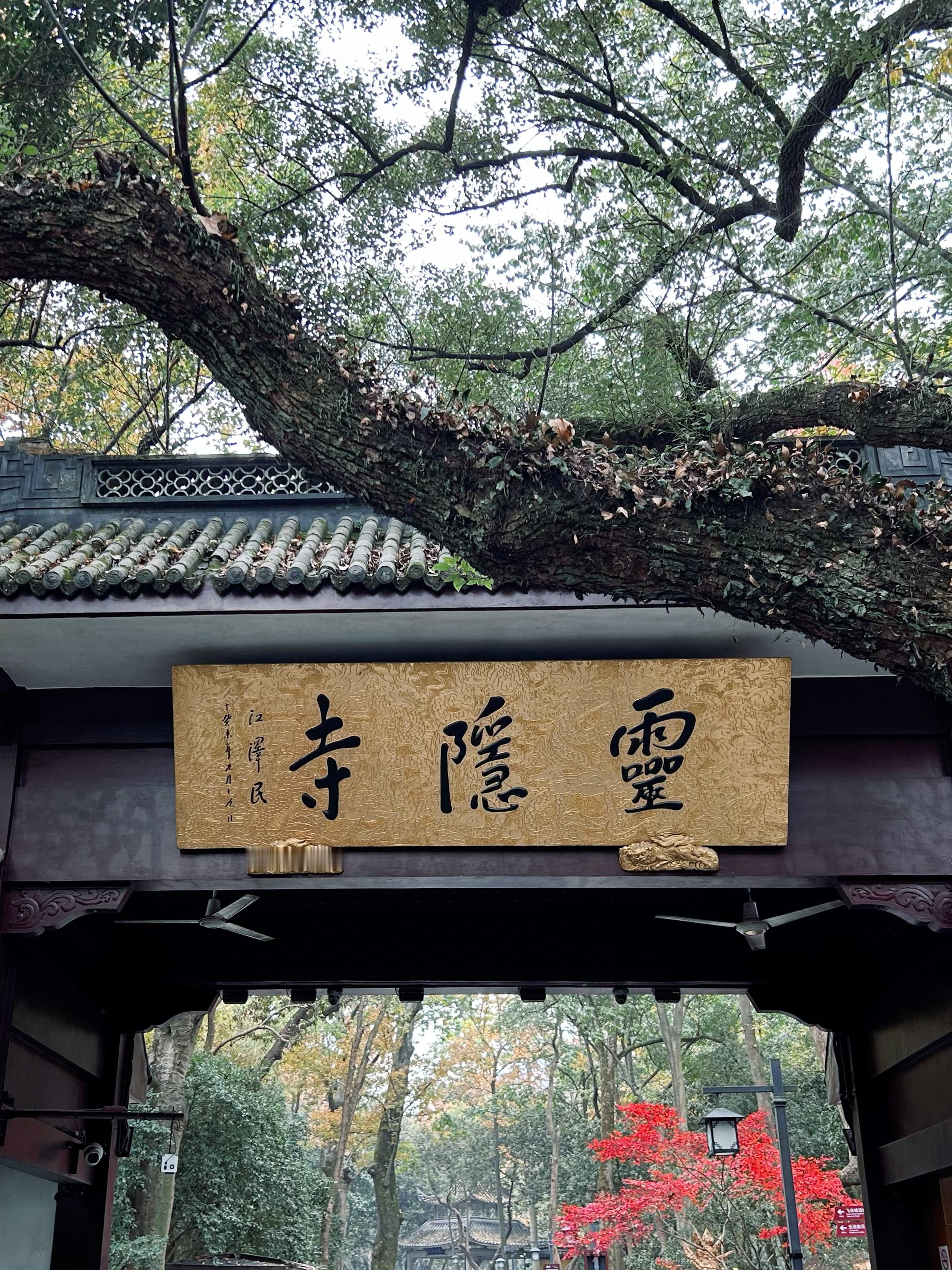 就因为没档期被追鲨快一个月 呜呜呜这真的好惨吧 事已至此 祝你我这辈子都遇不上这