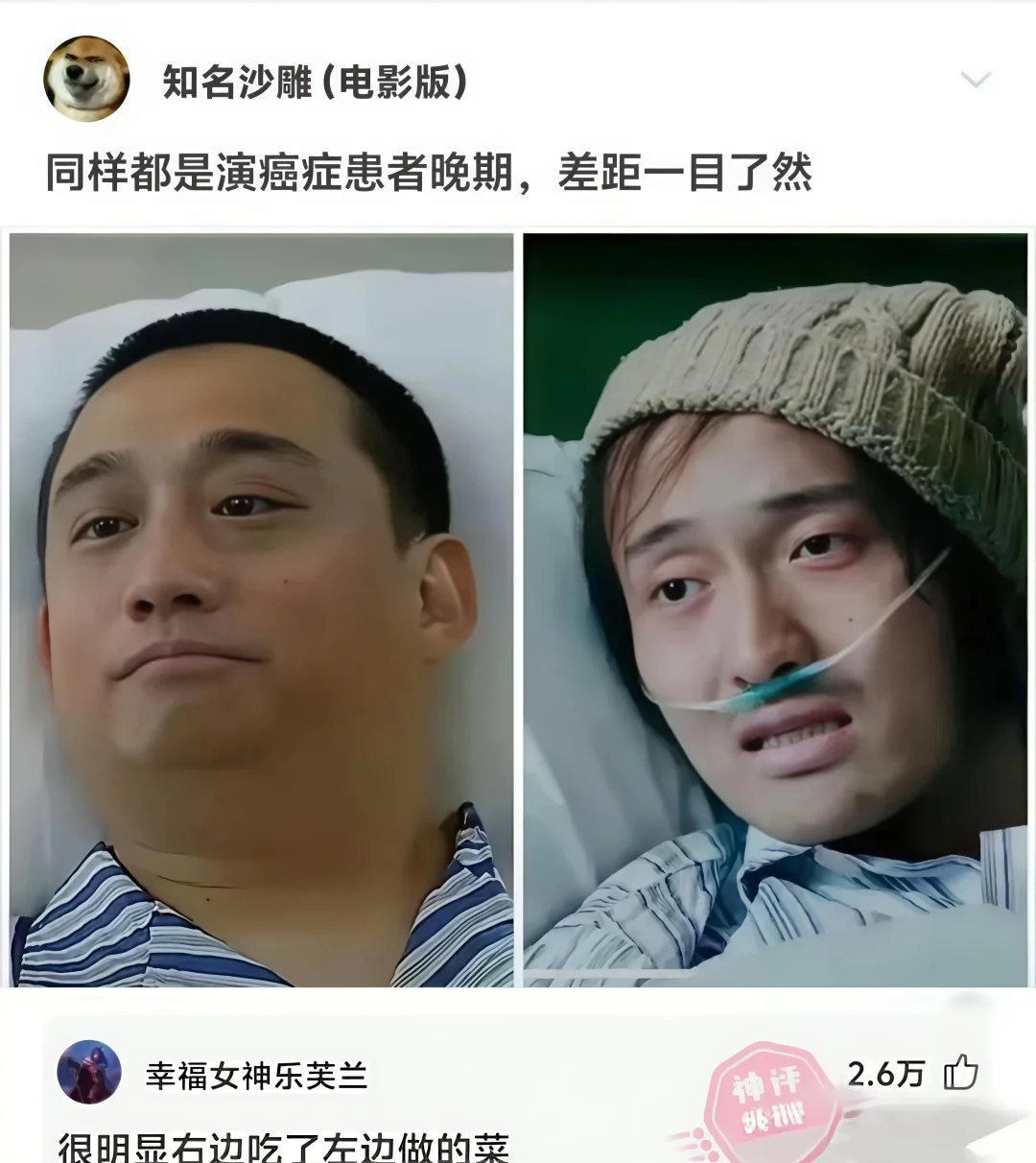 这届的网友都太有才华了哈哈哈哈 ​​​