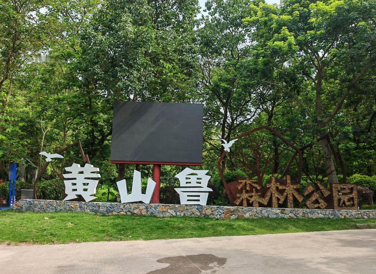 黄山鲁。来了，山顶见。。。