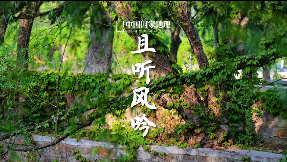 风是自由的，你也是。
风看不见也摸不着，但你却能感受到它的存在。