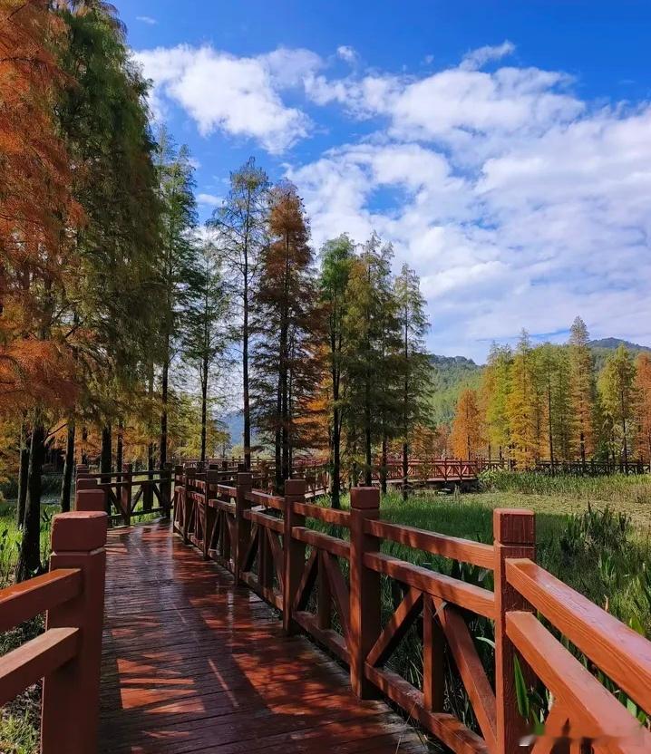 心里话       人生短暂，何必纠结？看开、想开、放开，方🉐自在。     