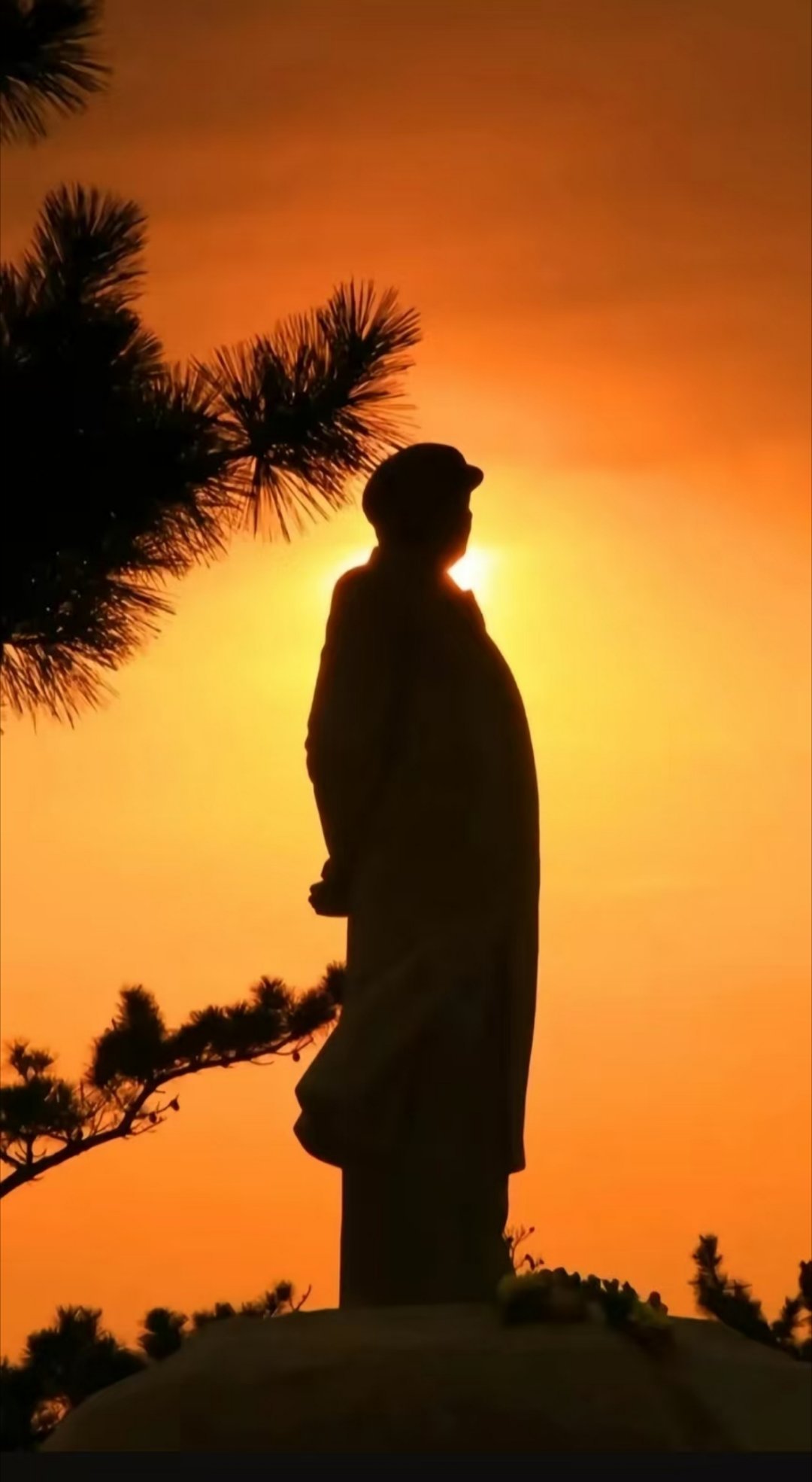 老人家，今天是2026年的第一天，元旦快乐 