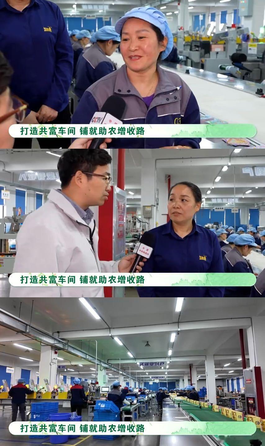 衢州人把文创卷出新高度衢州人用科技玩转乡村共富 刷到衢州国际摄影节的宣传视频直接