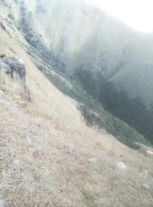 南方人对北方的哪些方面表示不懂不懂的是，北方人可以几天冲一次凉，甚至有人十天半个