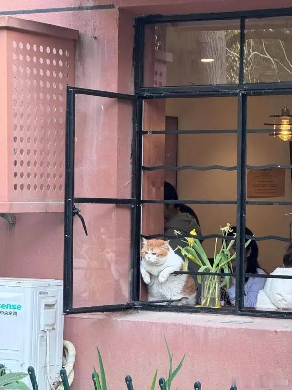 女子被造黄谣失业离婚仅获道歉