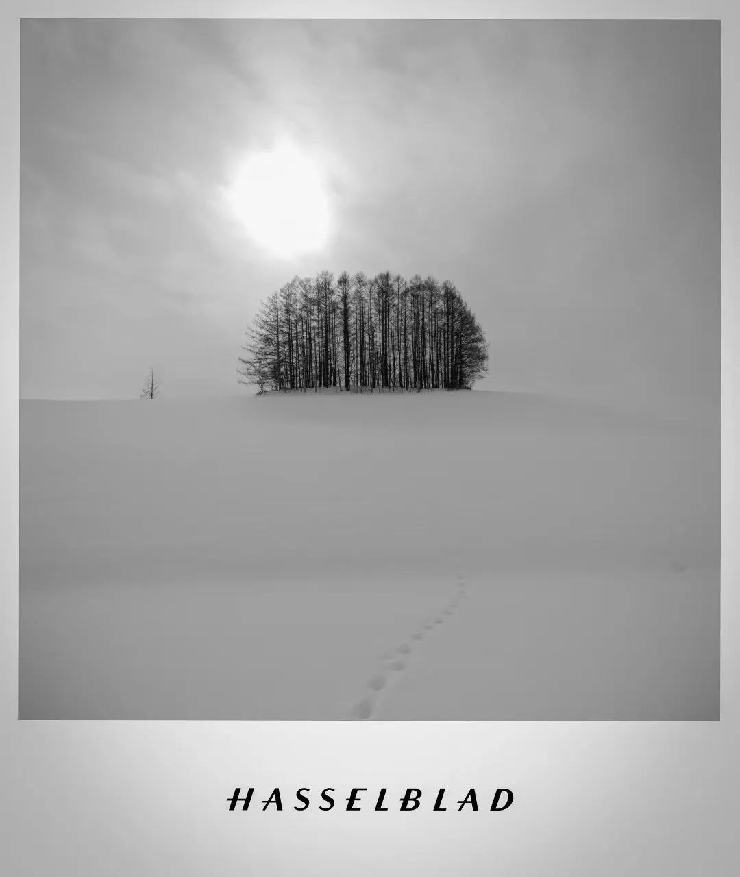 今日故地重游，多少有些审美疲劳了……
（朱悦Michael苏垦生化）
故地重游第