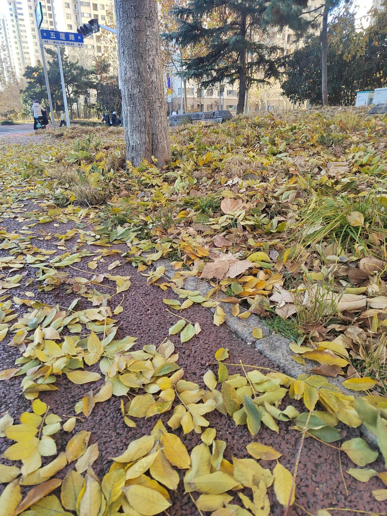 “秋观千树叶落”应为上联，不适合作下联。
上联：秋观千树叶落
下联：春看百草芽发