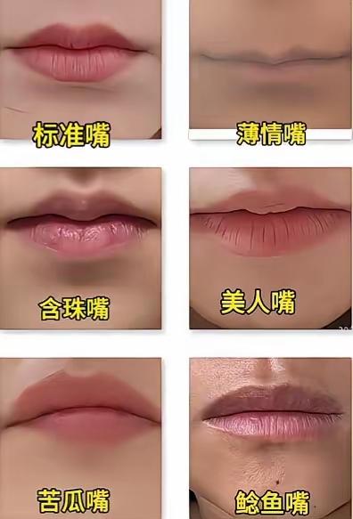 6种嘴唇，以你的审美，哪种最好看？