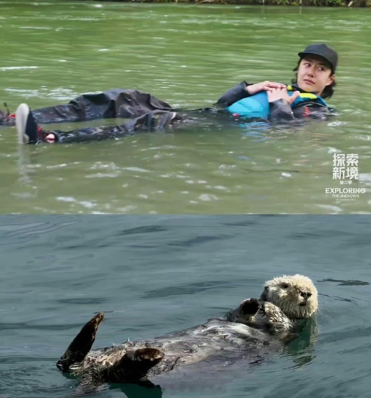 王一博和海獭真的好像，特别可爱的酷boy