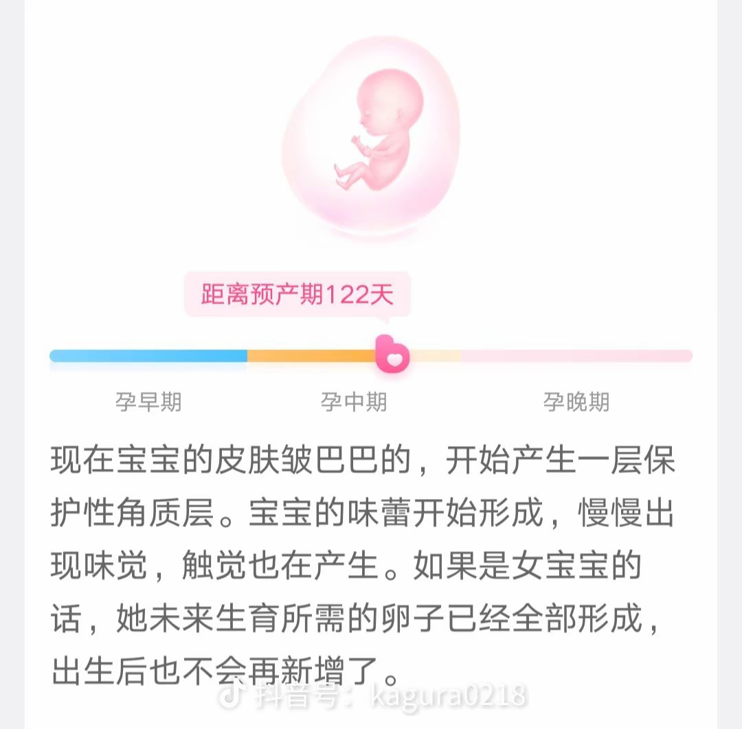 母系才是直正的传宗接代 