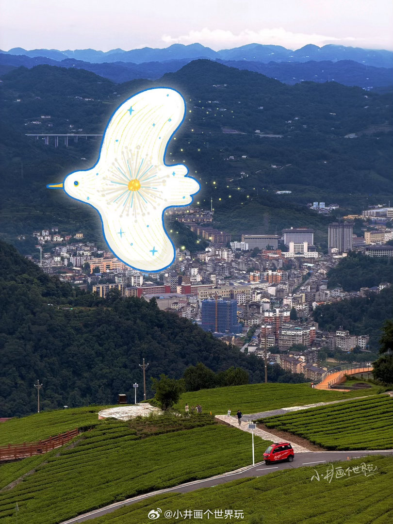 山风微凉处……小井画个世界玩插画盛夏pad绘画宜昌茶山阳雀五峰
