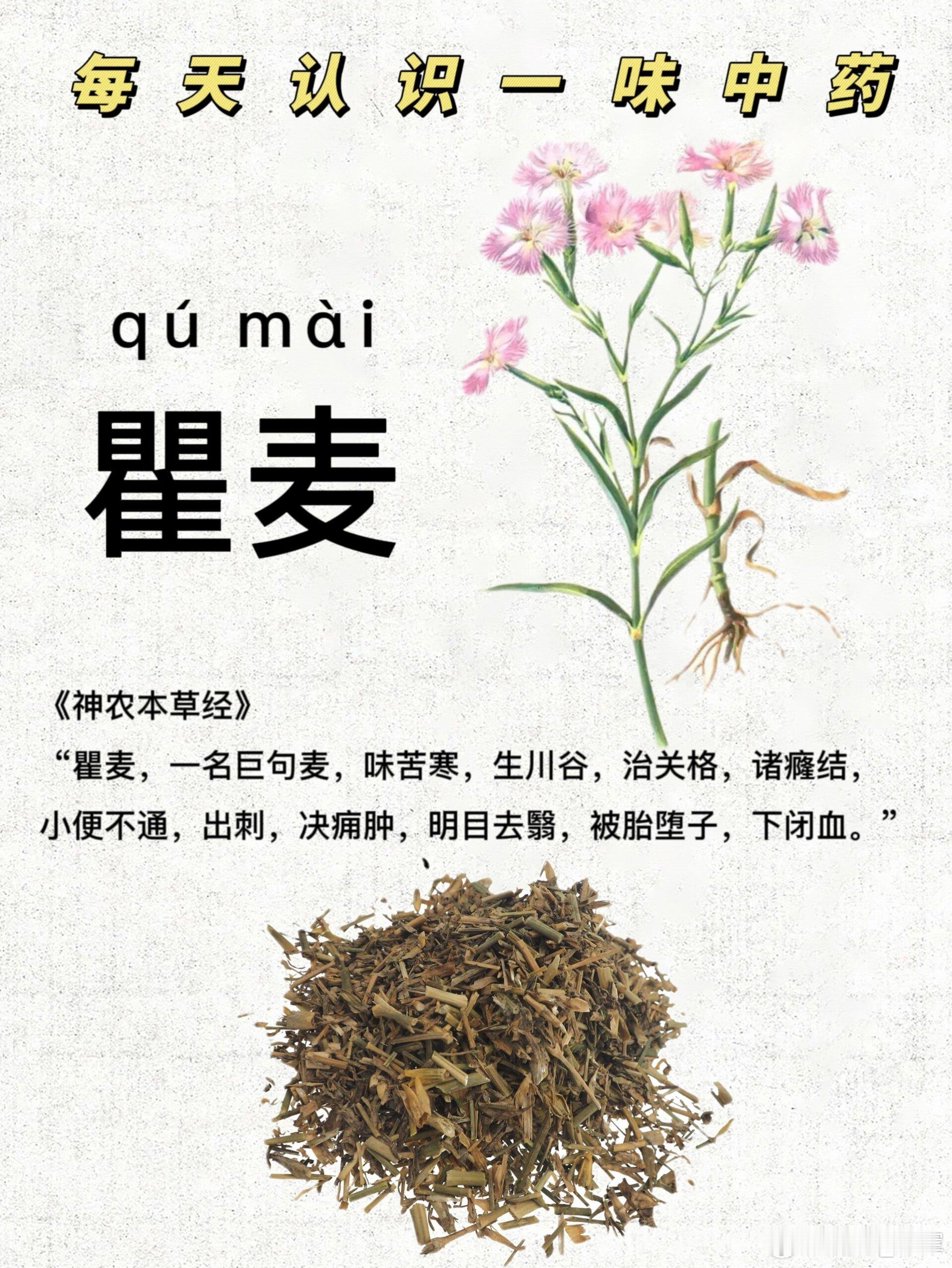 各种囊肿，一味草药熬水喝，效果就一个字：好！ （一）各种各样的囊肿们咱身体里可能