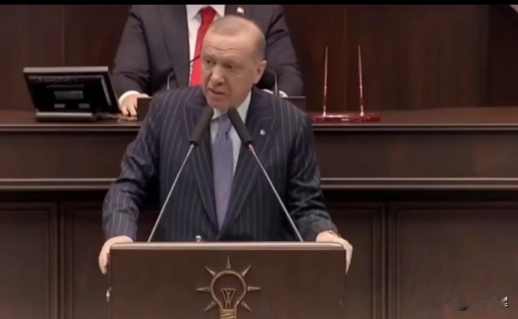 “若未跻身谈判桌，便沦为俎上肉”：埃尔多安谈全新世界秩序
 
土耳其总统埃尔多安