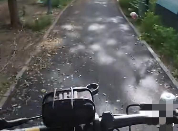 别再跑错门！北京这处公园开放骑行，很多人还不知道
 
北京骑行爱好者又多了一处宝