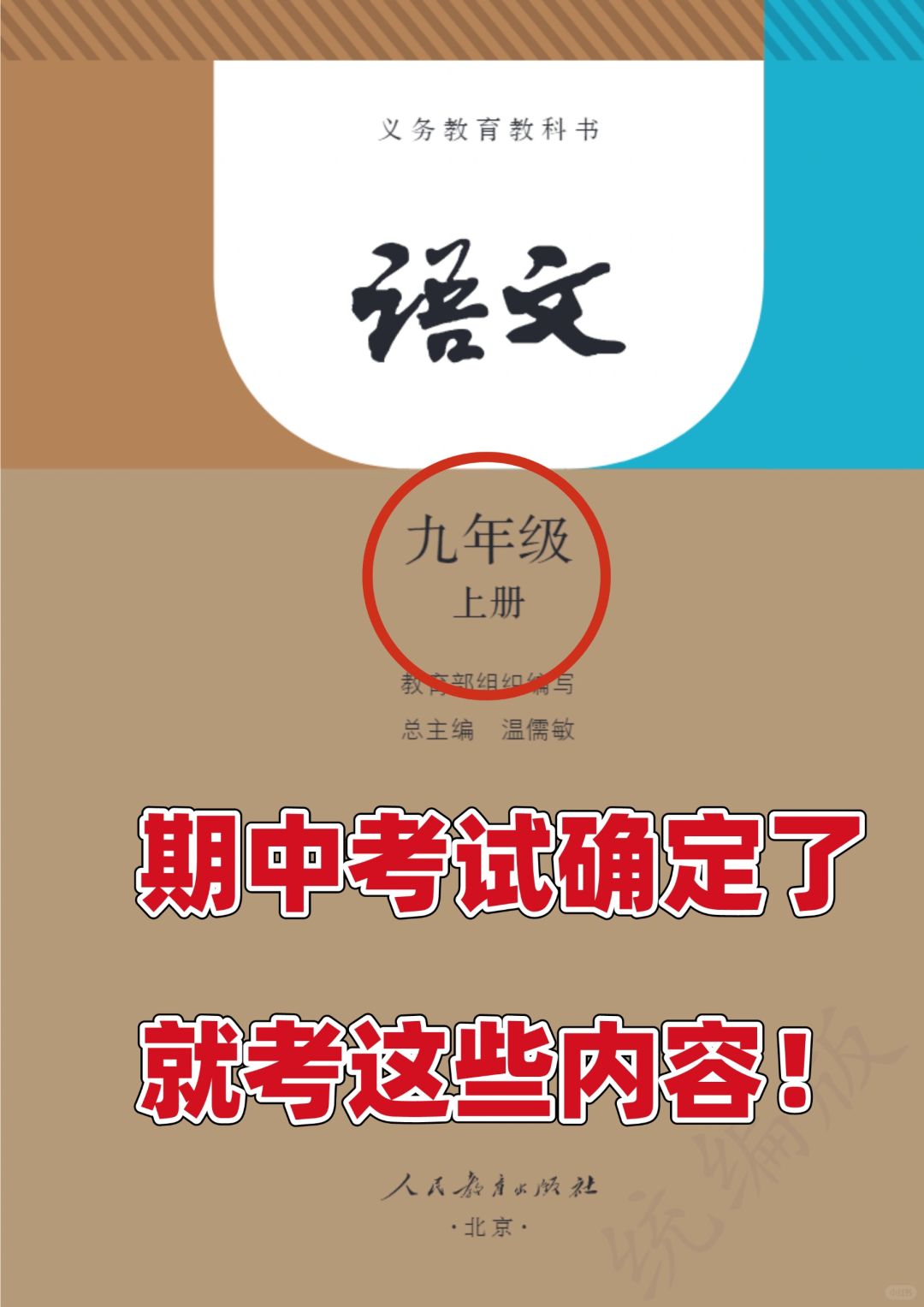 初三九年级上册语文期中考试知识点总结💯