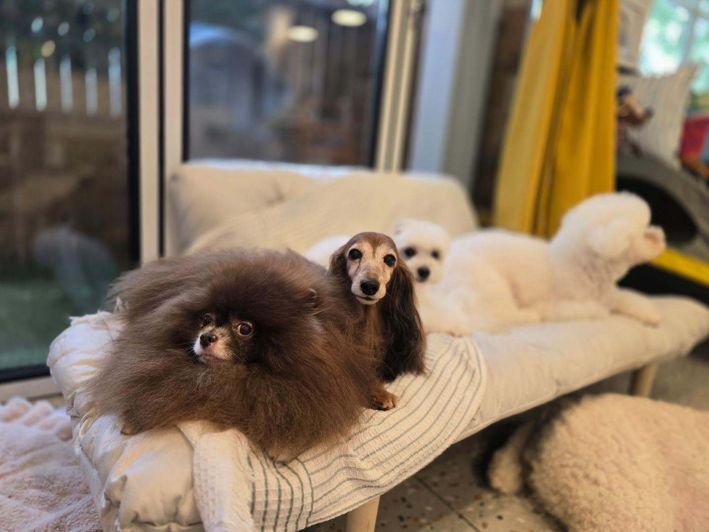 BLACKPINK[超话]  【IG】260829&260830@ grace_