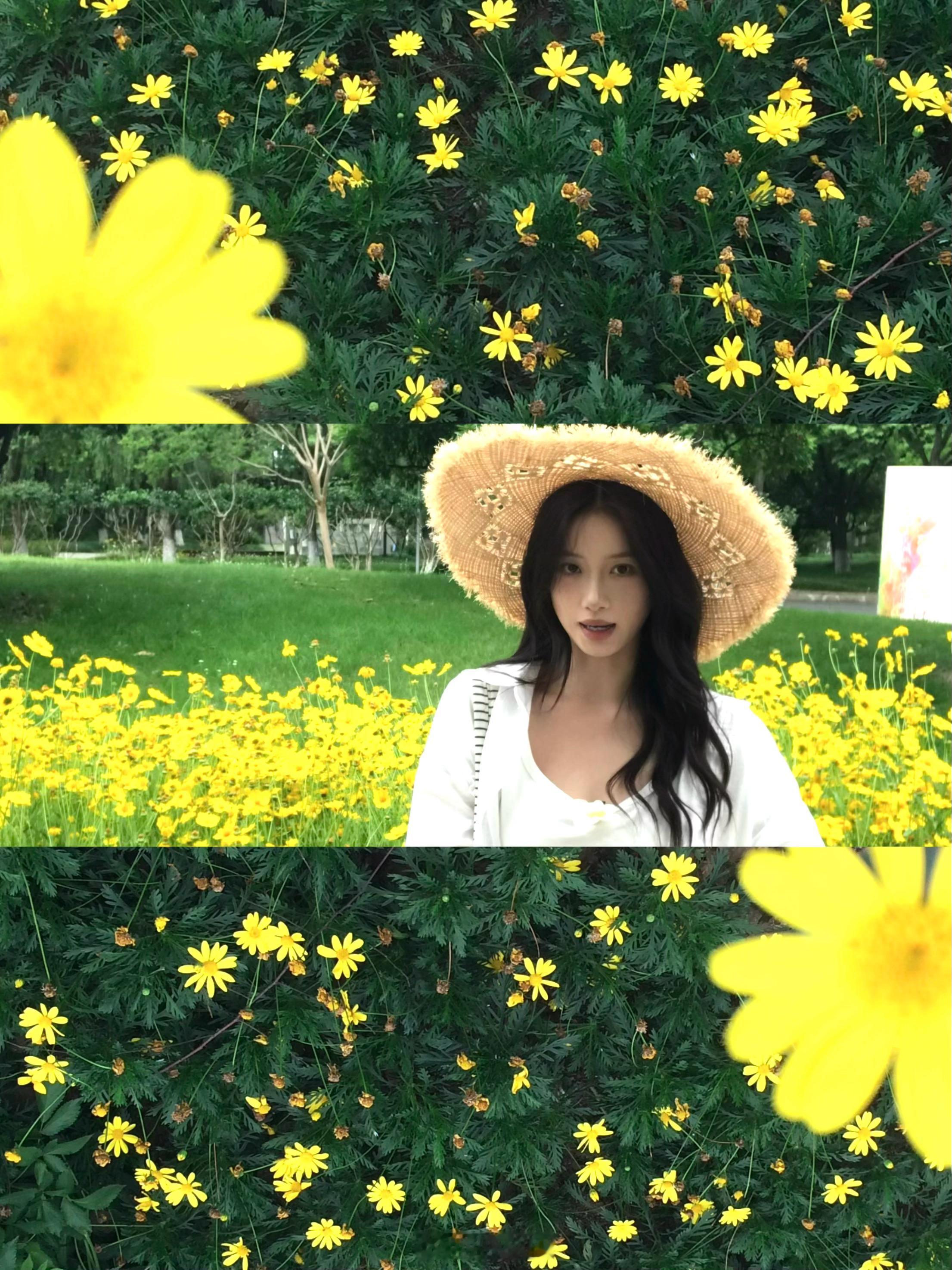 🌼🌼🌼 