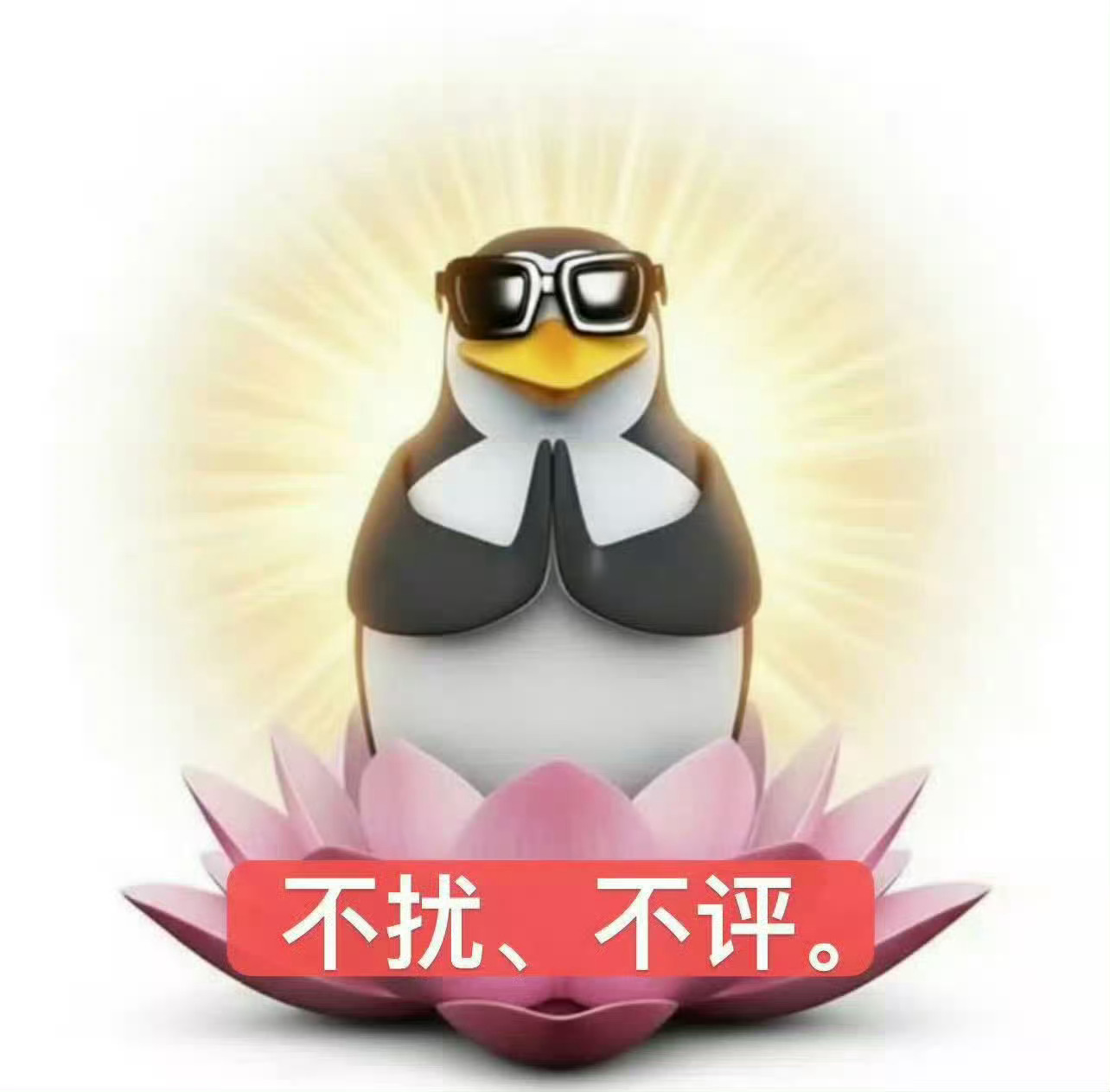 本人处于： 