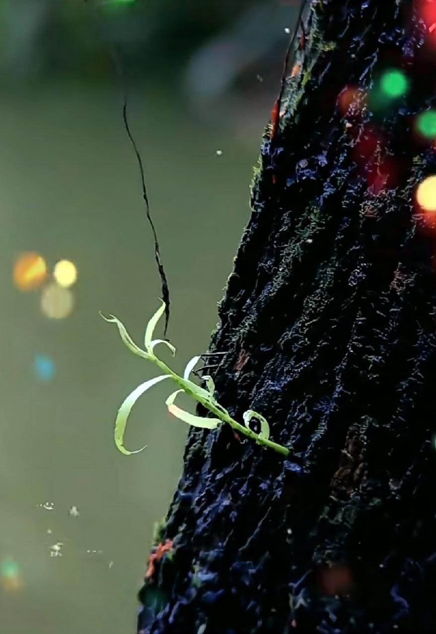 请用一句话概括一下，什么是幸福幸福就是我用心快乐的做每一件小事，我的心情很平静，