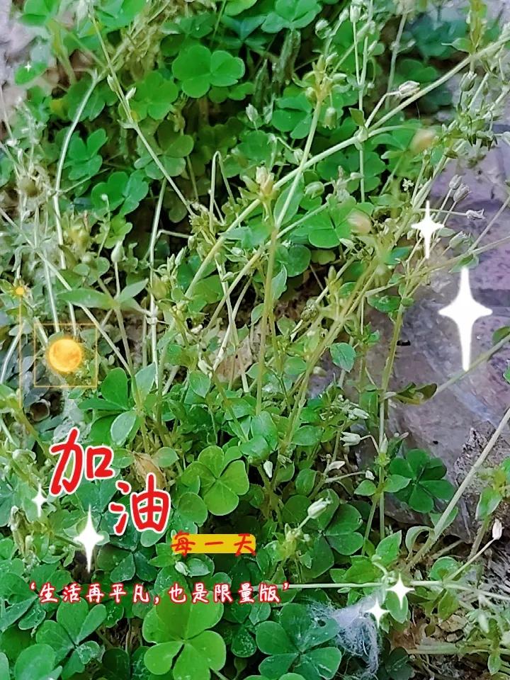问：蚊虫叮咬后，怎么快速止痒？
 
① 被蚊子咬了别乱抓，越抓越肿越痒。
赶紧找