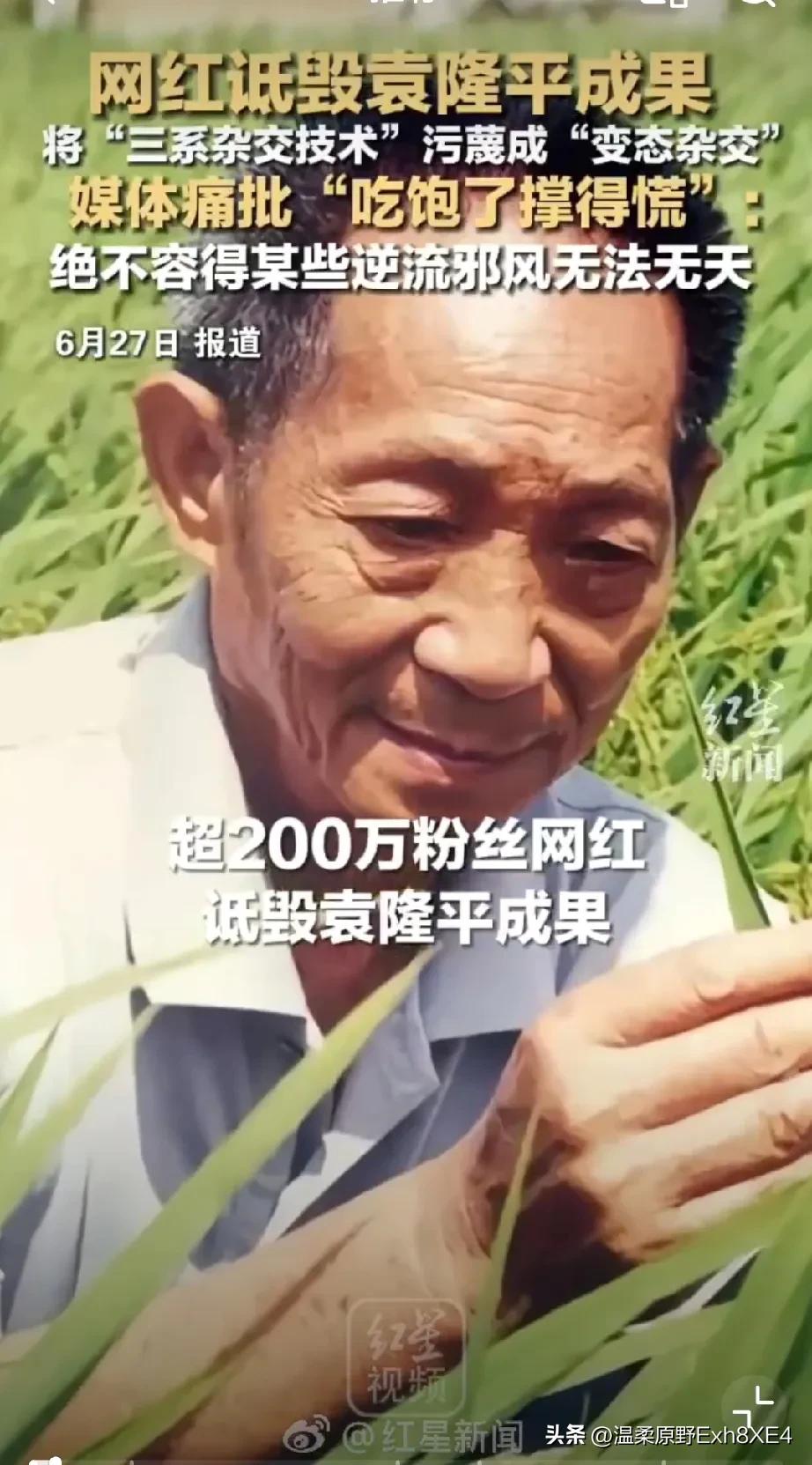 还是给他吃太饱了！近日，一位200多万粉丝的农业博主，公然拍视频诋毁袁隆平的“三