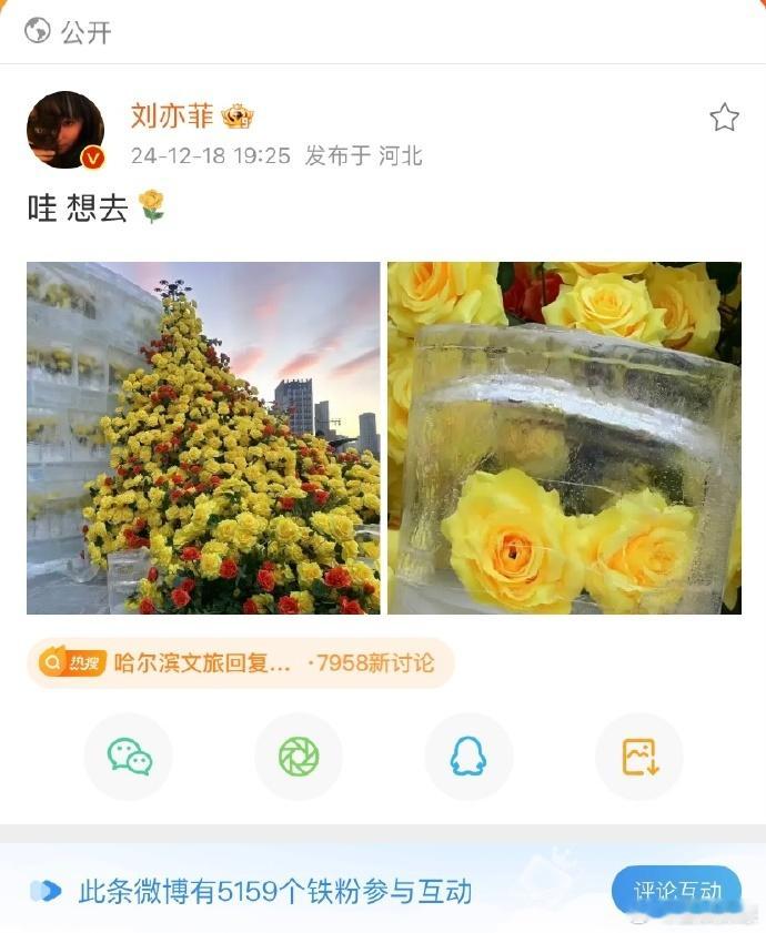 哇哈尔滨太美了，我也想去，这个冰封玫瑰真的很漂亮啊   