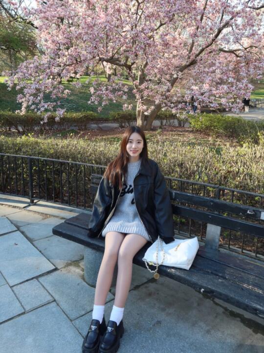 纽约🌸·͜·♡🌳|春天的纽约真是美得不可方物