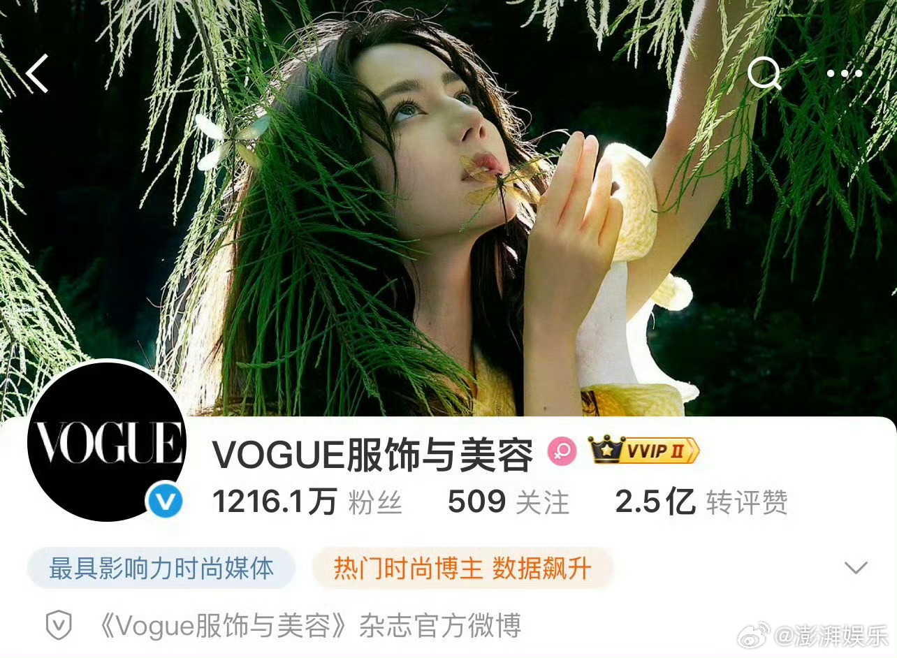 VOGUE背景是迪丽热巴说实话被那张林间精灵图美到了，湿发、光影、绿意，真的像仲