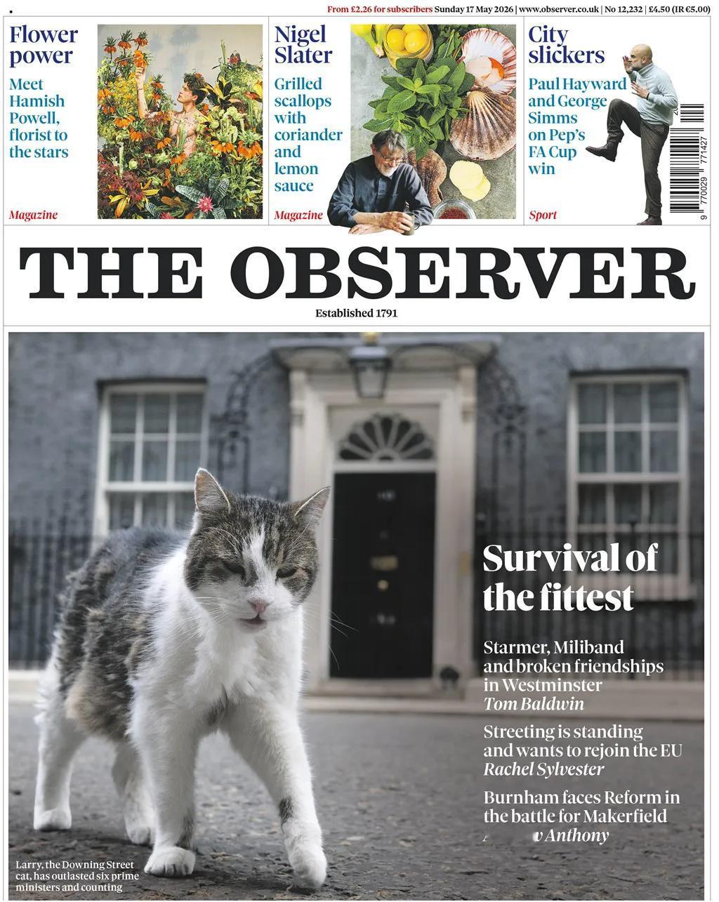 英国首相府唐宁街10号的首席捕鼠猫拉里，曾比六任英国首相更长寿，登上《观察家报》
