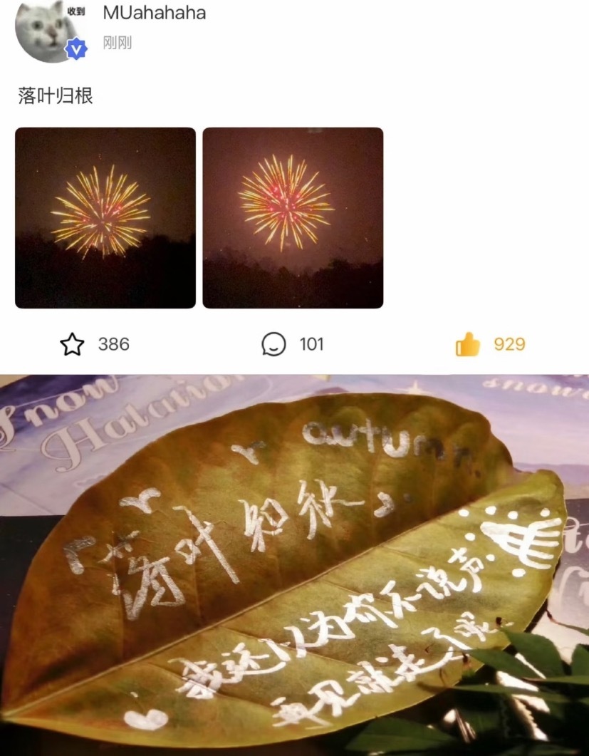 穆祉丞高会 落叶归根 穆祉成到底啥意思 