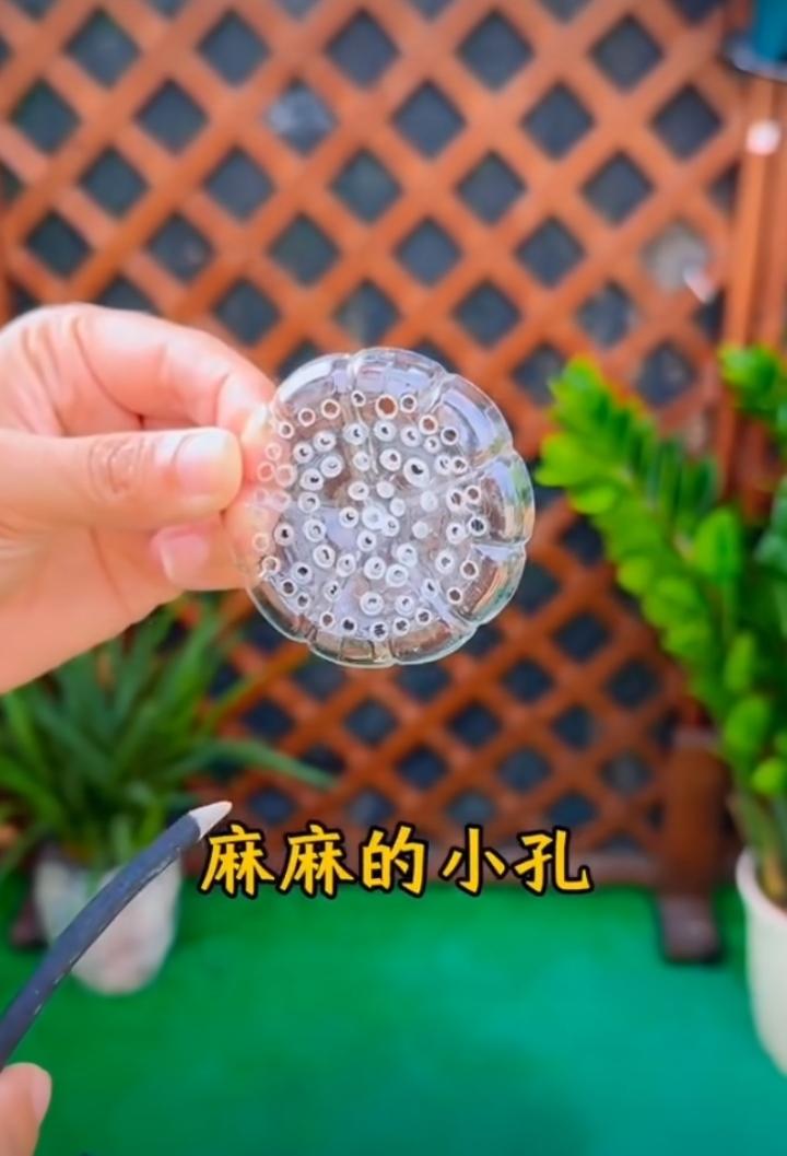 矿泉水瓶养花小妙招你知道吗？
把矿泉水瓶一分为二，上下两个部分分别打孔，我们放到