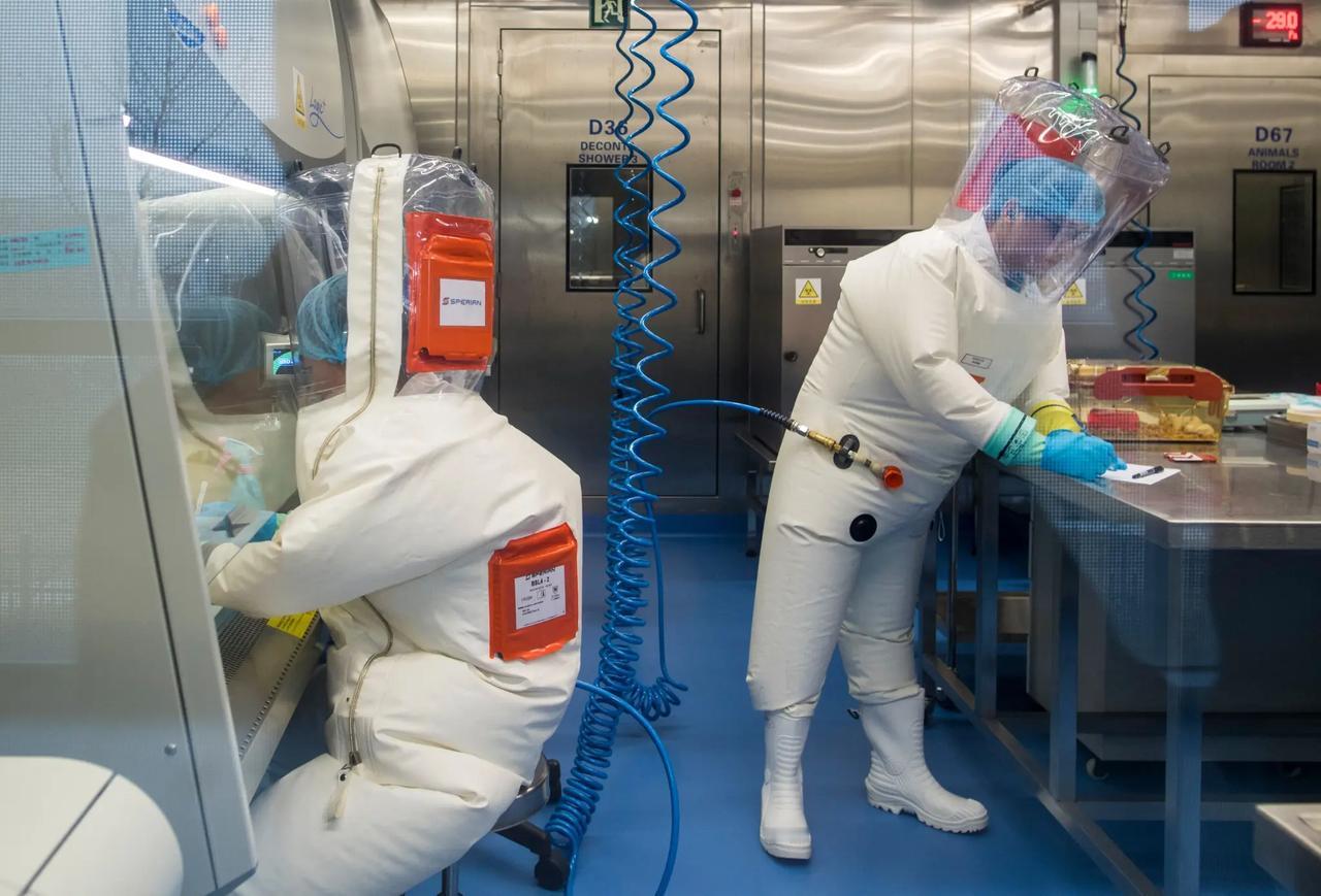 【美国启动海外生物实验室调查，承认乌克兰境内有40余处设施】美国国家情报总监图尔