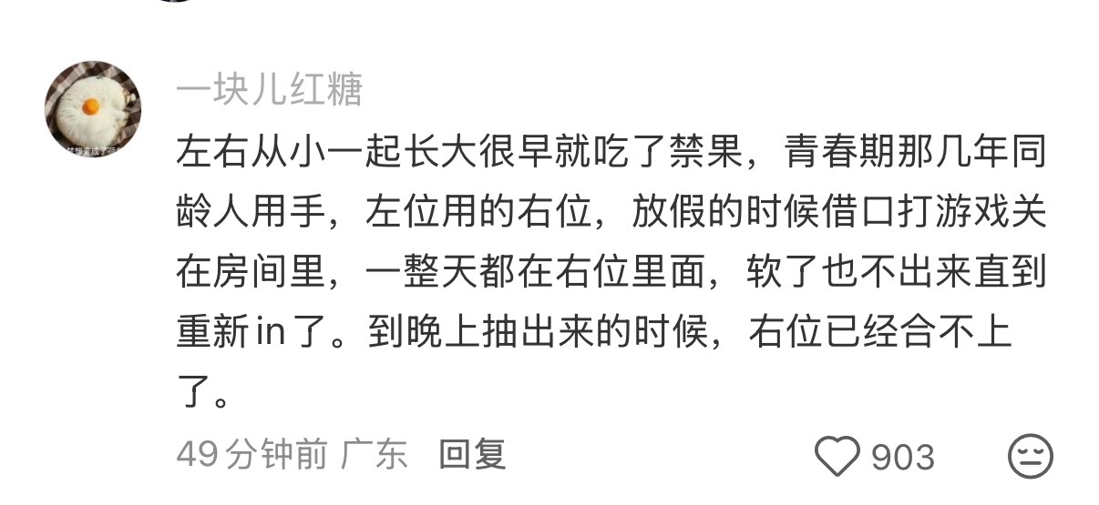 嗯……提名一对幼猫犬 