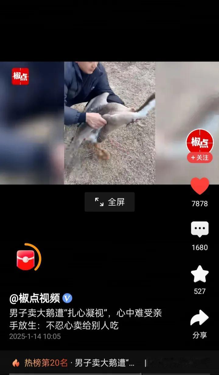 太令人感动了!男子卖鹅，遭遇“扎心凝视”，于心不忍自己家养的鹅被人吃，把鹅放生了