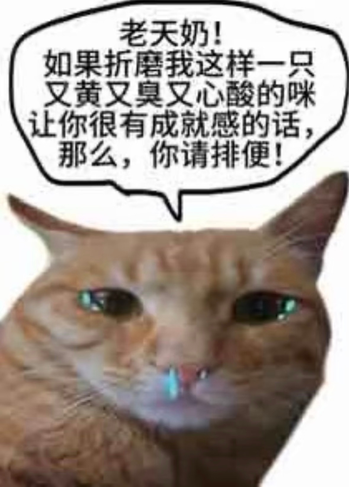 钱又像尿一样流走了 