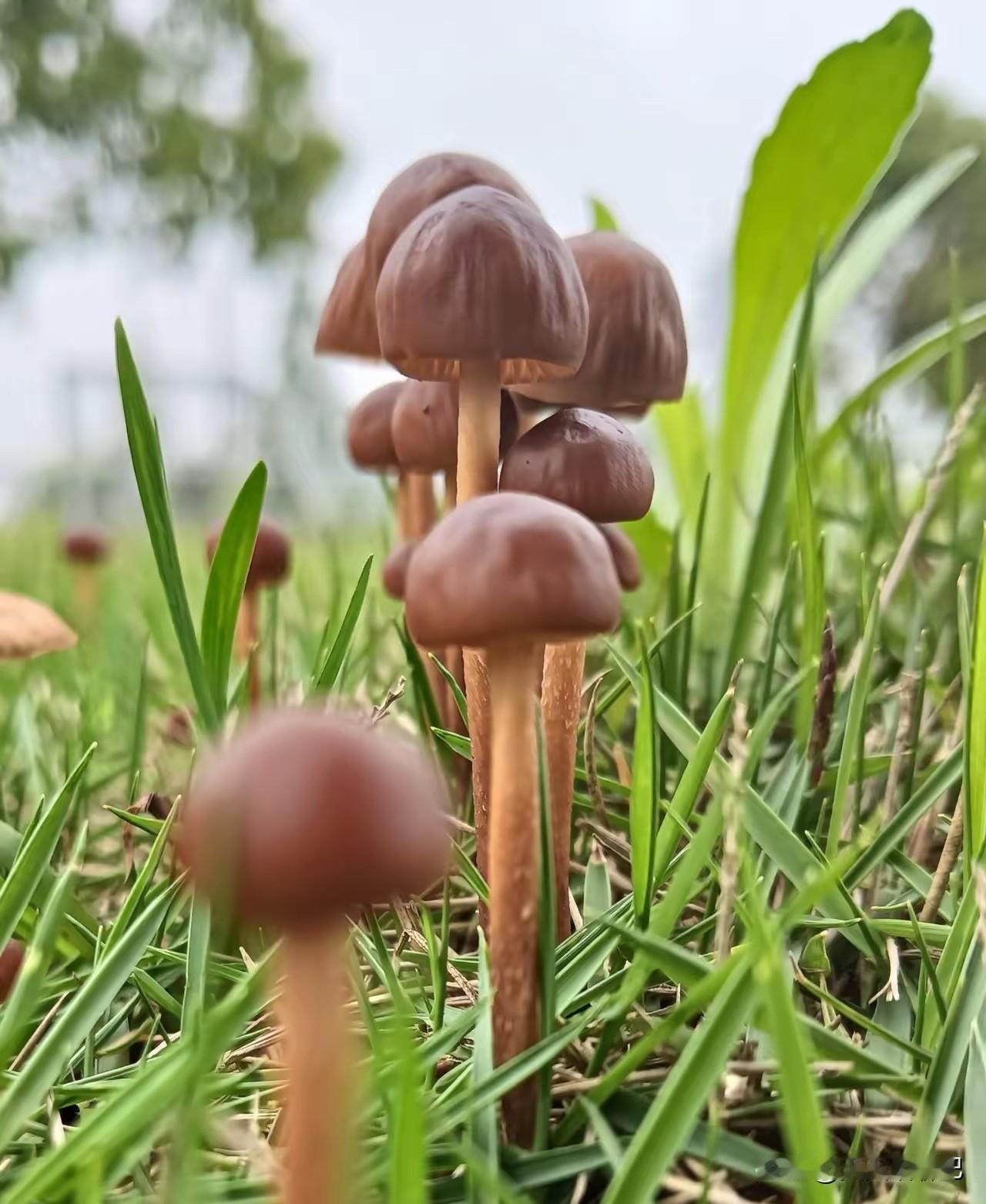 我就说过苍蝇不叮无缝的蛋，一个人的人品，打铁还需自身硬。