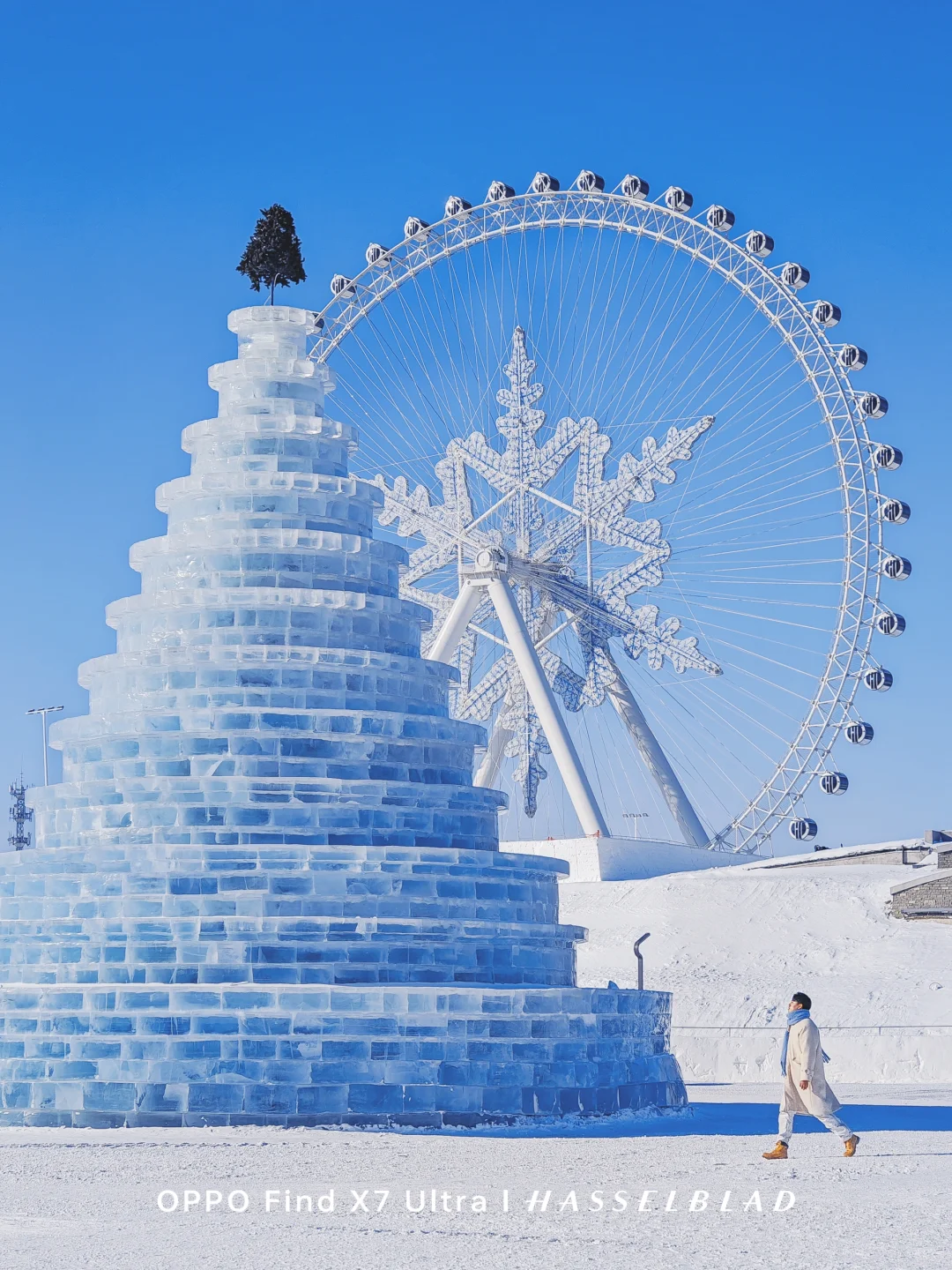 哈尔滨冰雪大世界拍照机位📷这样拍真没有人