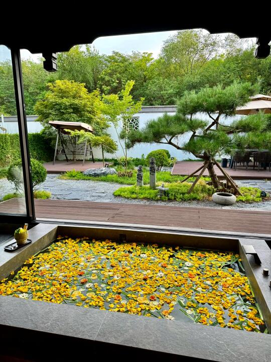 在石家庄🌼住到人生花海私汤Villa