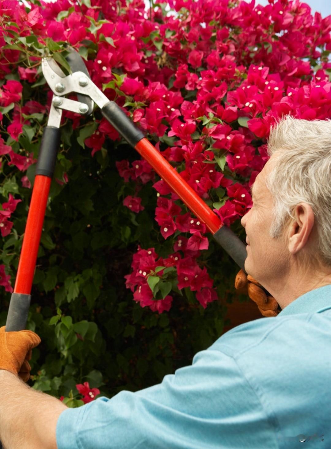 四十出头、衣着讲究的女人牵着儿子，走进一家知名企业总部楼下的花园，在长椅上坐下吃