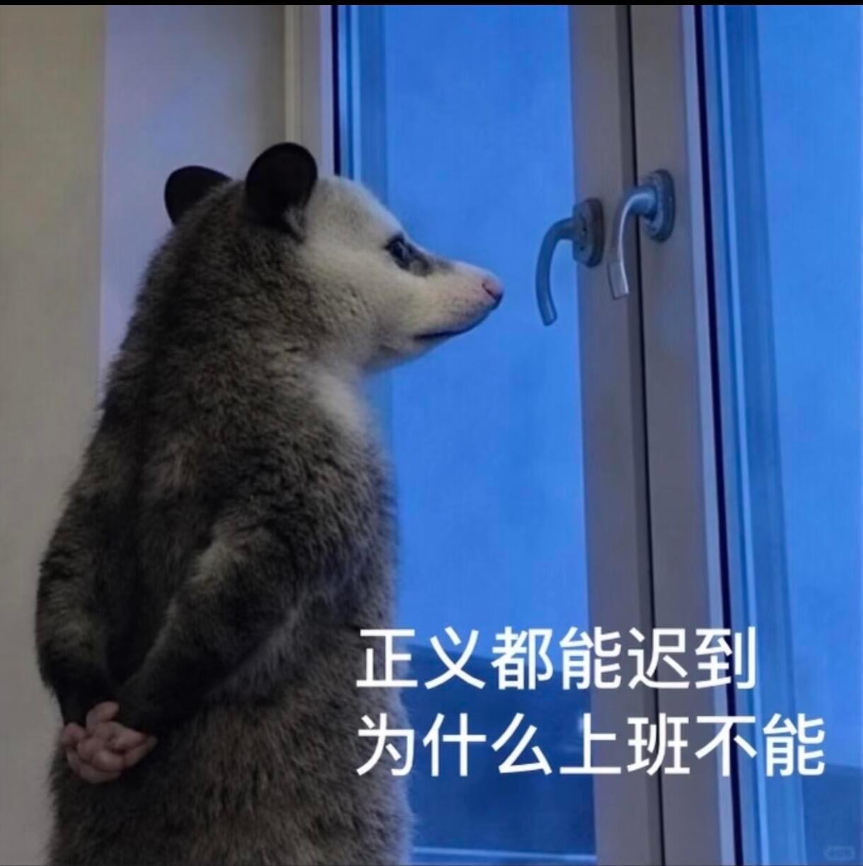 负鼠表情包更新我的精神状态一览 